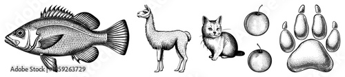 fish llama cat plums paw print vector set