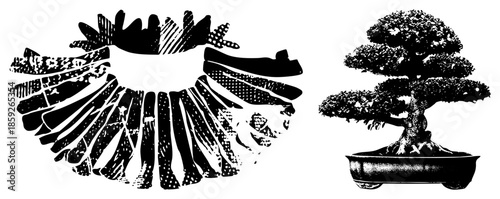 Bonsai tree and abstract