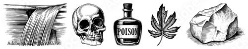 water skull poison bottle leaf rock