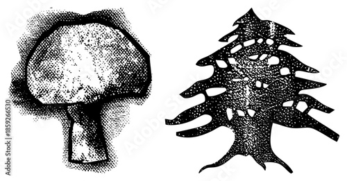 mushroom and cedar tree halftone illustrations