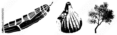 feather fig tree vector