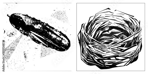 cucumber and cabbage vector illustration