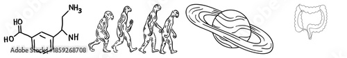 chemical structure human evolution sequence saturn planet intestine diagram