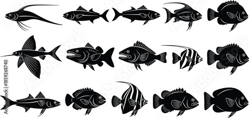 Black fish silhouettes collection featuring various marine species like tuna snapper and tropical reef fish isolated on white background for aquatic nature designs