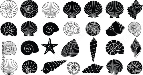Large collection of seashell silhouettes and starfish icons featuring various spiral and scallop shapes isolated on white background for marine nature beach designs