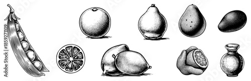 Fresh produce and vase vector set