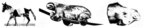 horse sloth rhino vector illustrations