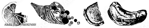 Four stylized fruit slices and in black and white vector