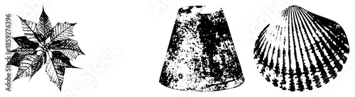 poinsettia flower cone textured vector