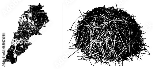 Two abstract black vector shapes isolated