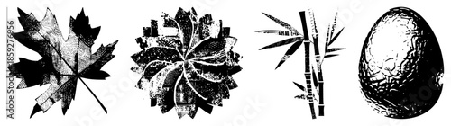 four nature in black and white vector style