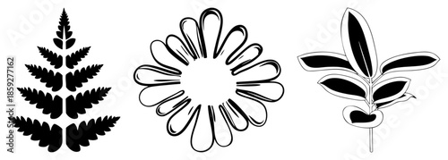 fern flower leaf vector