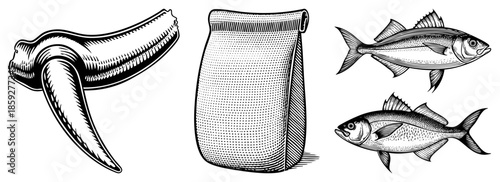 whale tooth sack fish vintage illustration