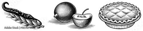 Grain stalk fruit pie vintage engraving