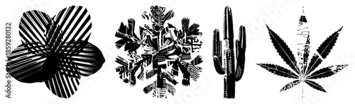 abstract cactus leaf black and white