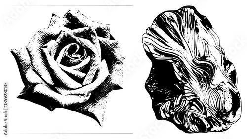 rose and abstract rock halftone illustration