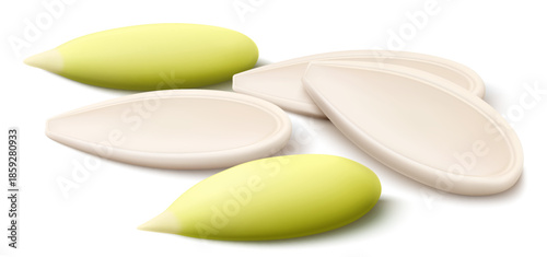 Peeled and unpeeled pumpkin seeds isolated on white background. Pumpkin seeds whole green kernels, side view. Realistic 3D vector, close-up. Used for advertising, packaging, collage, web design food