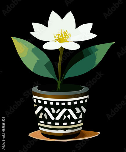 Graphic white flower plants in a patterned black pot on a dark background
