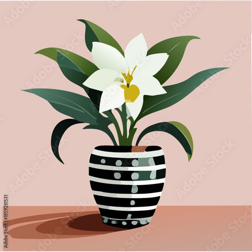 Minimalist black and white striped pot holding elegant white lily flower plants