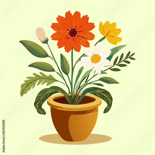 beautiful orange and white flowers growing in terracotta pot for spring season gardening and nature theme design