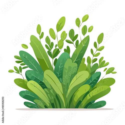 lush green bush plant with dense leaves and organic shapes for garden landscaping and nature botanical design