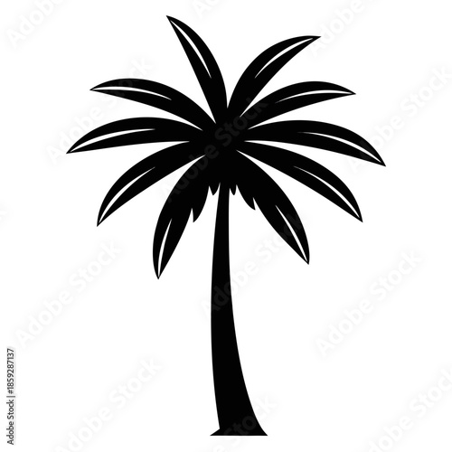a simple black and white illustration depicts a solitary palm tree with a slender trunk and gracefully arching fronds suggesting a tropical scene high quality professional
