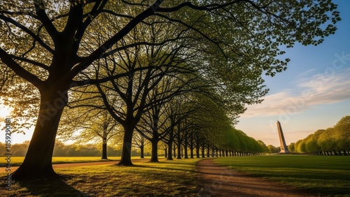 Serene Tree-Lined Pathway at Sunrise Trees Monument Nature. Concept featuring trees, pathway, sunrise, monument, nature.