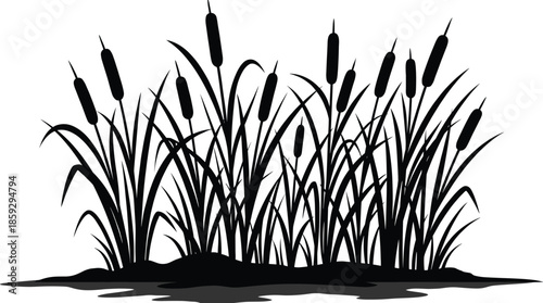 Reed grass silhouette illustration, cattail wetland plants growing near water isolated white background vector nature marsh minimal design