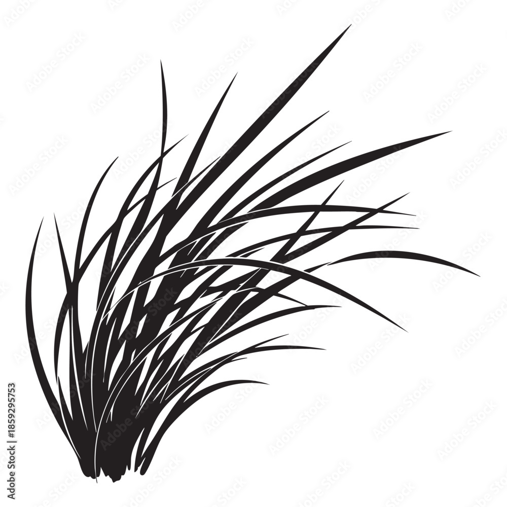 Fototapeta premium Stylized Grass Illustration with Sharp Leaves on Transparent Background