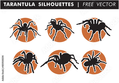 Tarantula silhouettes, spider icons, black and orange vector graphics