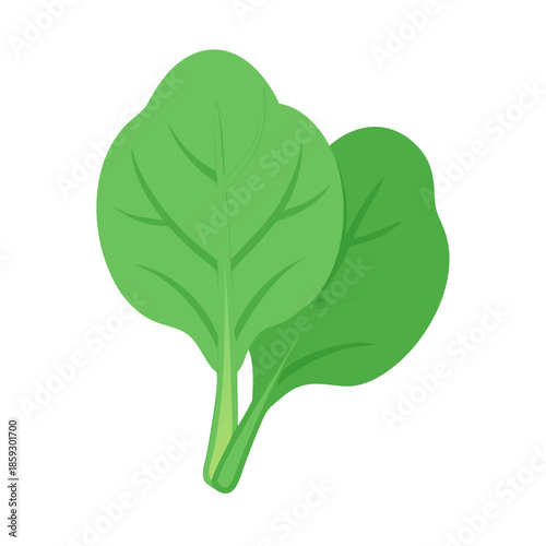 Two fresh spinach leaves on a solid black backdrop