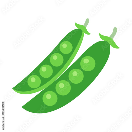 Two flat green pea pods on a white background