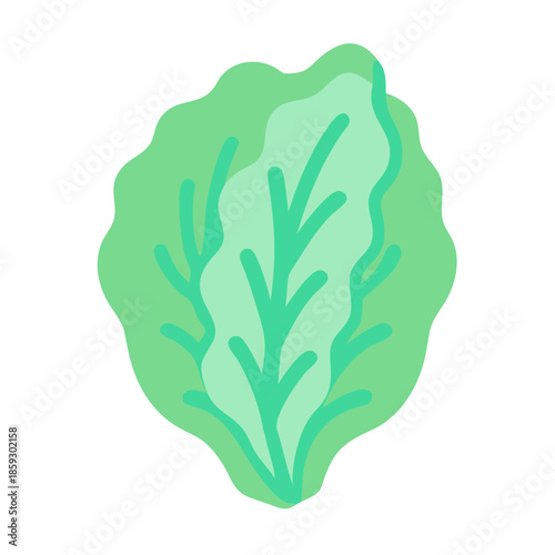 Stylized lettuce head illustration on white backdrop, organic theme