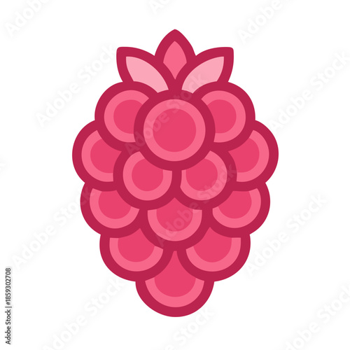 Stylized flat raspberry illustration on a white background