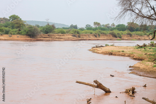 Ewaso Nyiro river in the forest