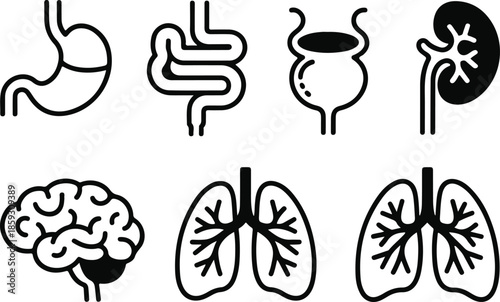 Human internal organs outline icons collection anatomy science