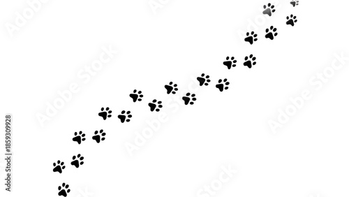 Diagonal Path of Black Animal Paw Prints Walking Across a White Background