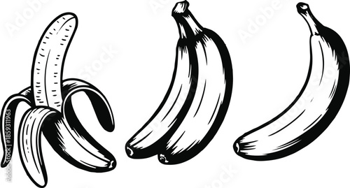Set of three bananas in vintage engraving style on transparent background