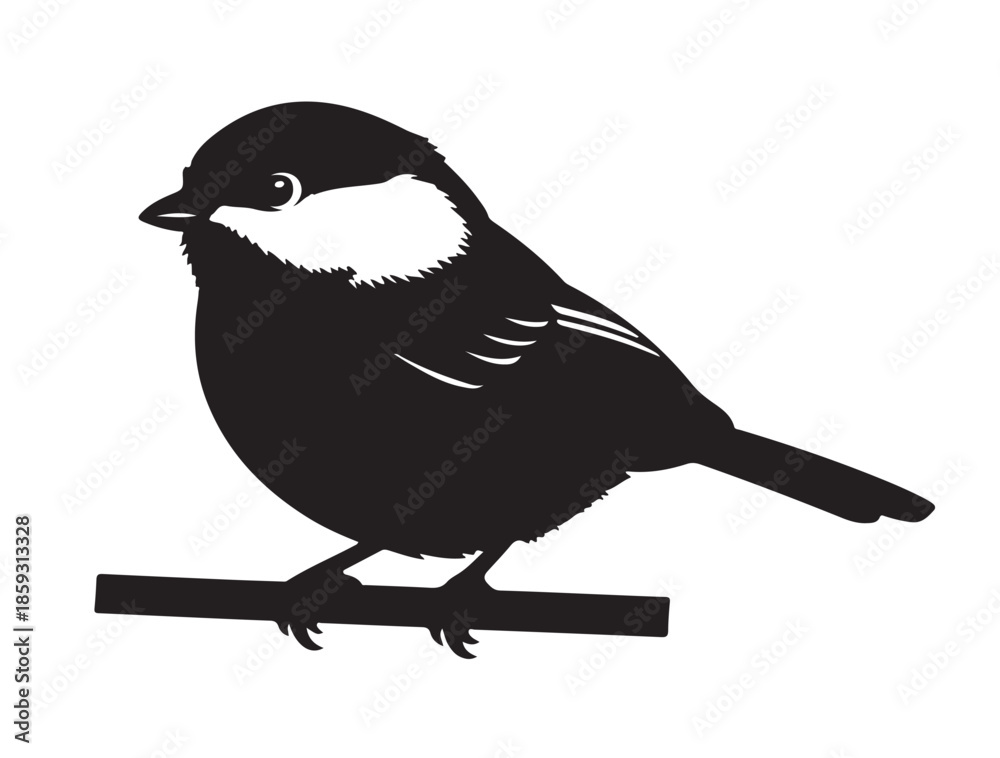 Naklejka premium Chickadee in silhouette white background. 