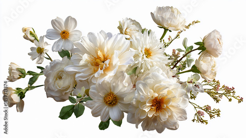 White flowers in a bright setting with green leaves