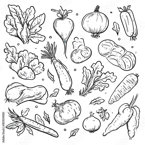 Hand drawn black and white line art vegetable set including carrot, onion, radish, lettuce, ginger, and pepper in minimalist doodle style vector illustration for food icons and designs