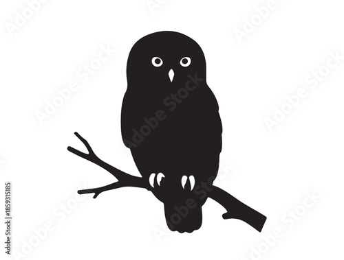 Φωτογραφία Pygmy Owl silhouette image white background.