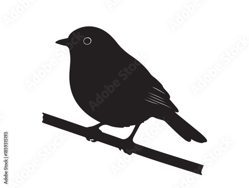  Robin in silhouette white background.