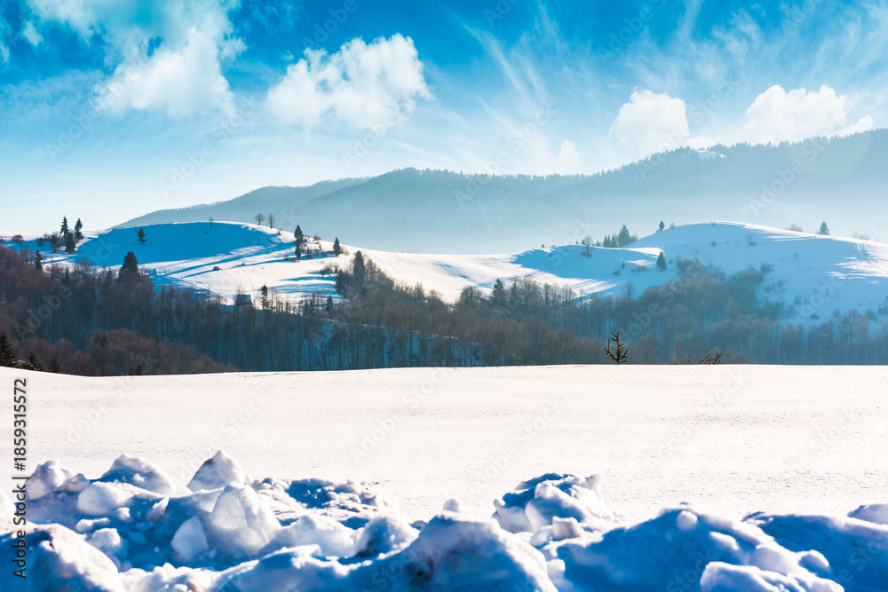 Obraz premium beautiful winter landscape with snow covered rolling hills under blue sky. majestic carpathian mountains on sunny day. frosty countryside scenery with snowy alpine meadow. remote region of ukraine