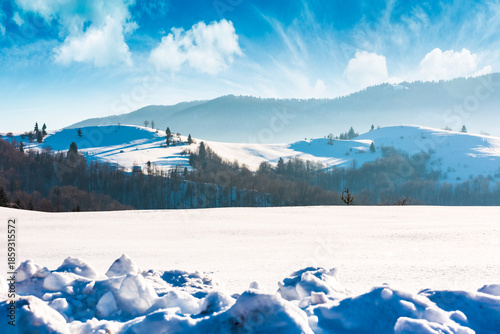 beautiful winter landscape with snow covered rolling hills under blue sky. majestic carpathian mountains on sunny day. frosty countryside scenery with snowy alpine meadow. remote region of ukraine