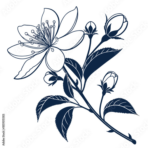 Cuadro en lienzo calycanthus aphrodite silhouette vector