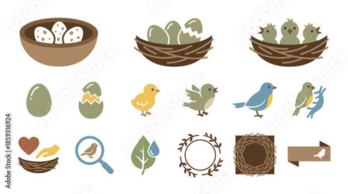 Birds and eggs illustration set. Spring Vector Packs. EPS Editable