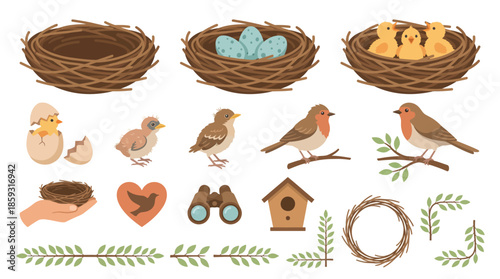 Birds and nests with eggs and chicks. Spring Vector Packs. EPS Editable