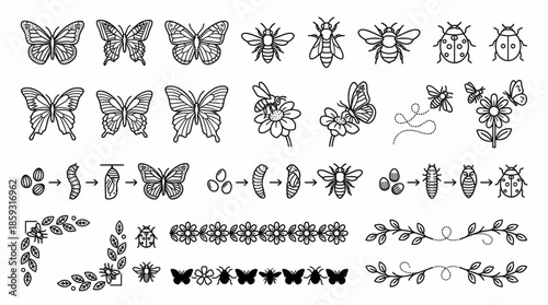 Black and white butterfly and flower illustrations. Spring Vector Packs. EPS Editable