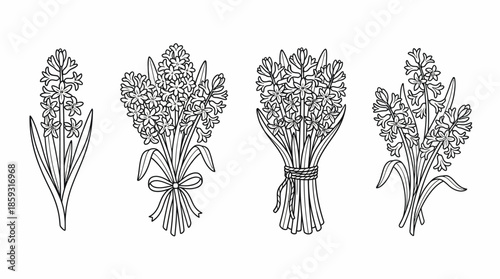 Black and white floral illustrations bunch. Spring Vector Packs. EPS Editable